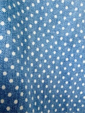 NWOT Polka Dot Light Blue Women's Jeans